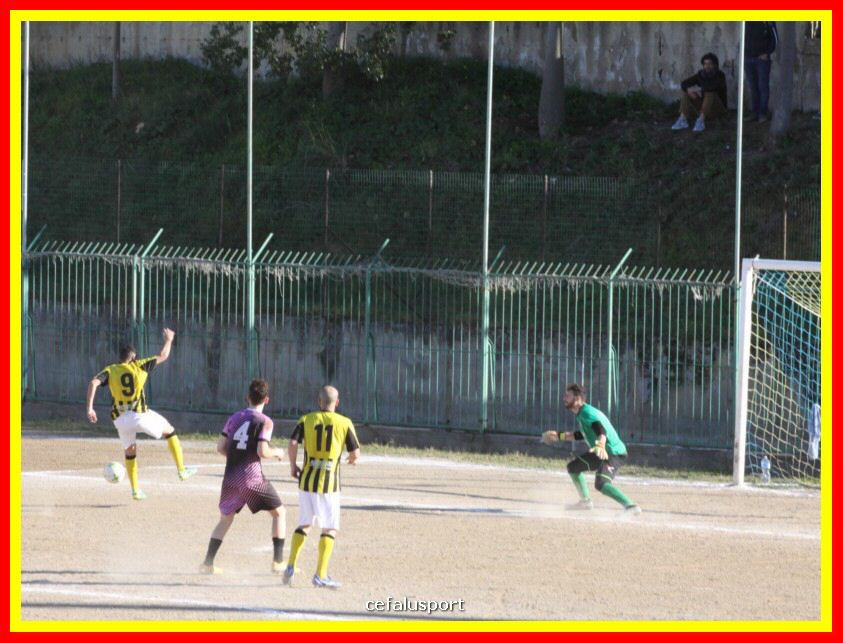 190310 Cephal_Torrenov 128_tn.jpg